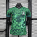 Maillot Nigéria domicile version player