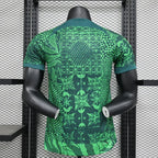 Maillot Nigéria domicile version player