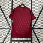Maillot foot Belgique extérieur 2024 2025 EURO2024