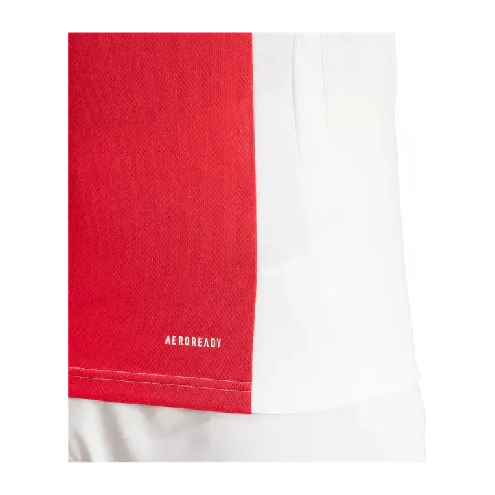 Ajax Amsterdam Heimtrikot 2024/2025