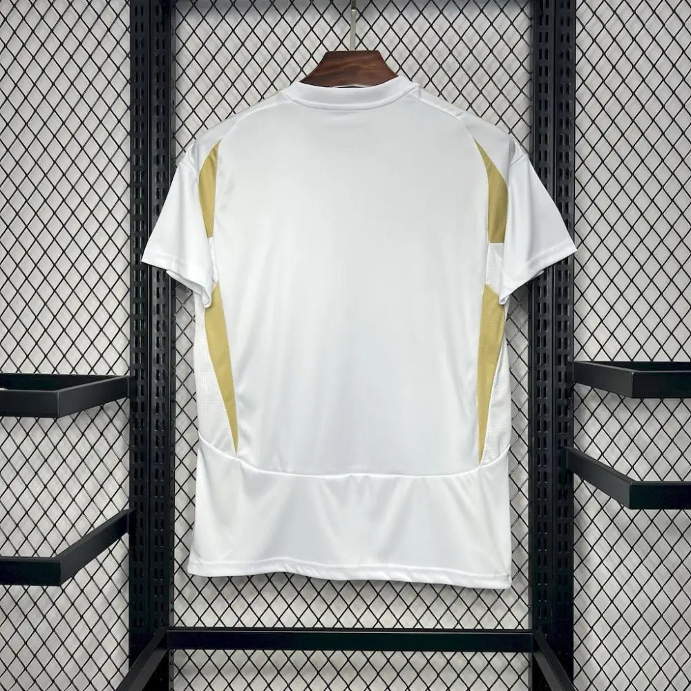 Al-Nassr Ausweichtrikot 2024/2025