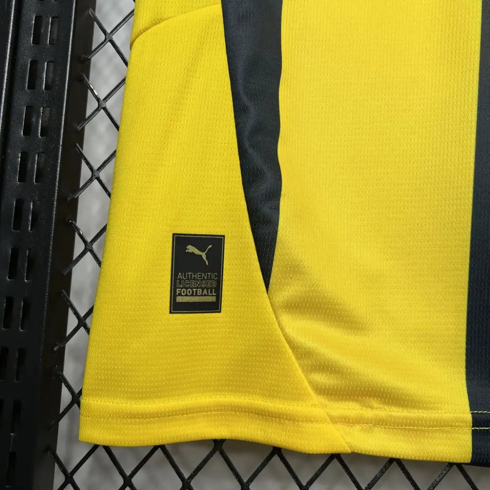 Fenerbahçe SK Heim 2024/2025