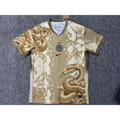 Inter Milan Concept Spécial Snake Or 2025/2026