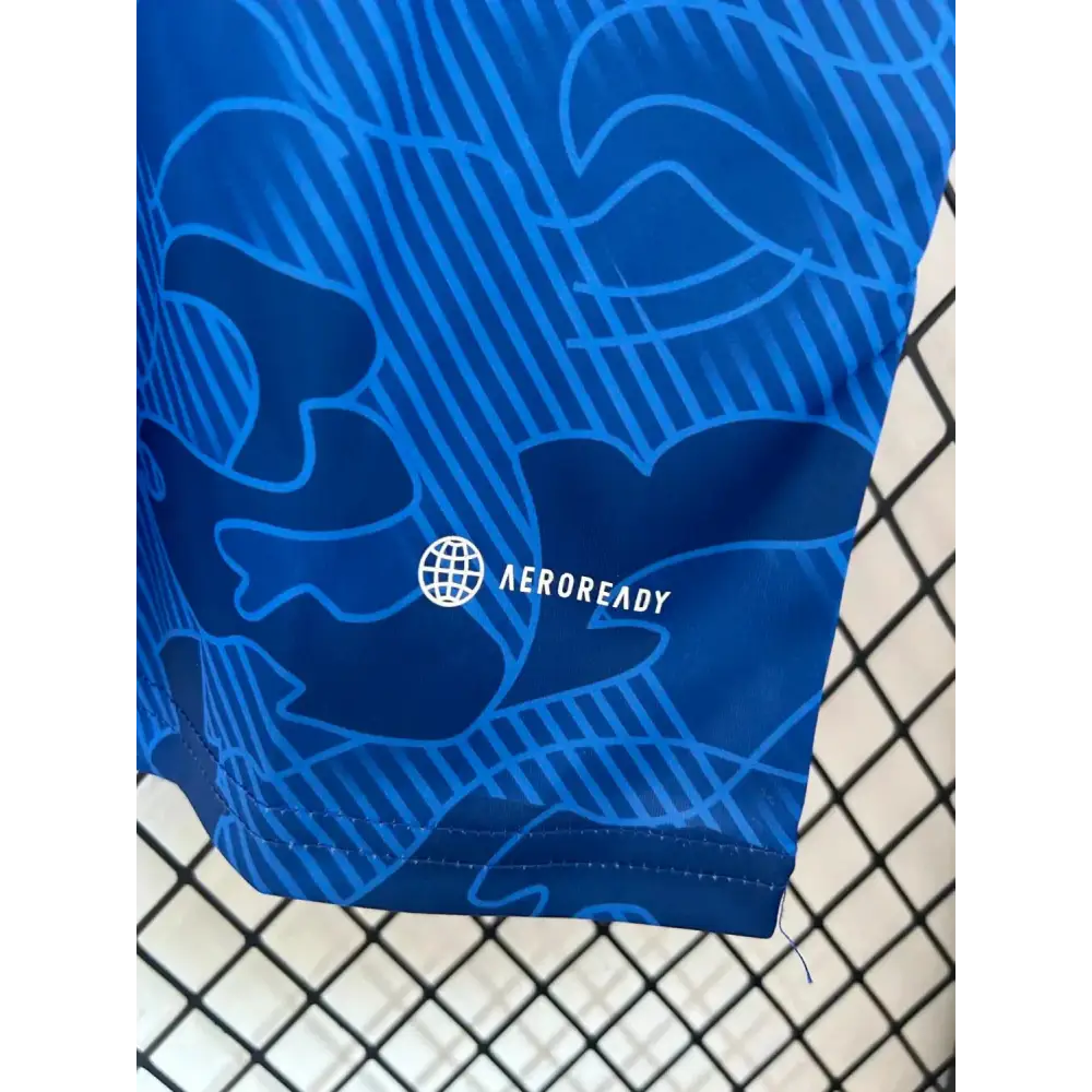 Japan Concept Blue Cargo
