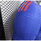Japanisches Konzept Blauer Samurai