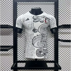 Japan Konzept Kanji Drache