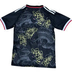Japan Fish Concept