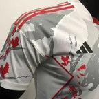 Japan Konzept Rot/Weiß Kunst