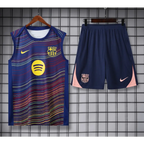 FC Barcelona Trainingsausrüstung Blau Gestreift 2025/2026