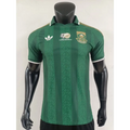 Südafrika Trikot WM 2026 Auswärts Spielerversion