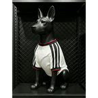 Germany World Cup 2026 Dog Jersey