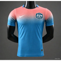 Australia 2026 World Cup Away Player Version Jersey