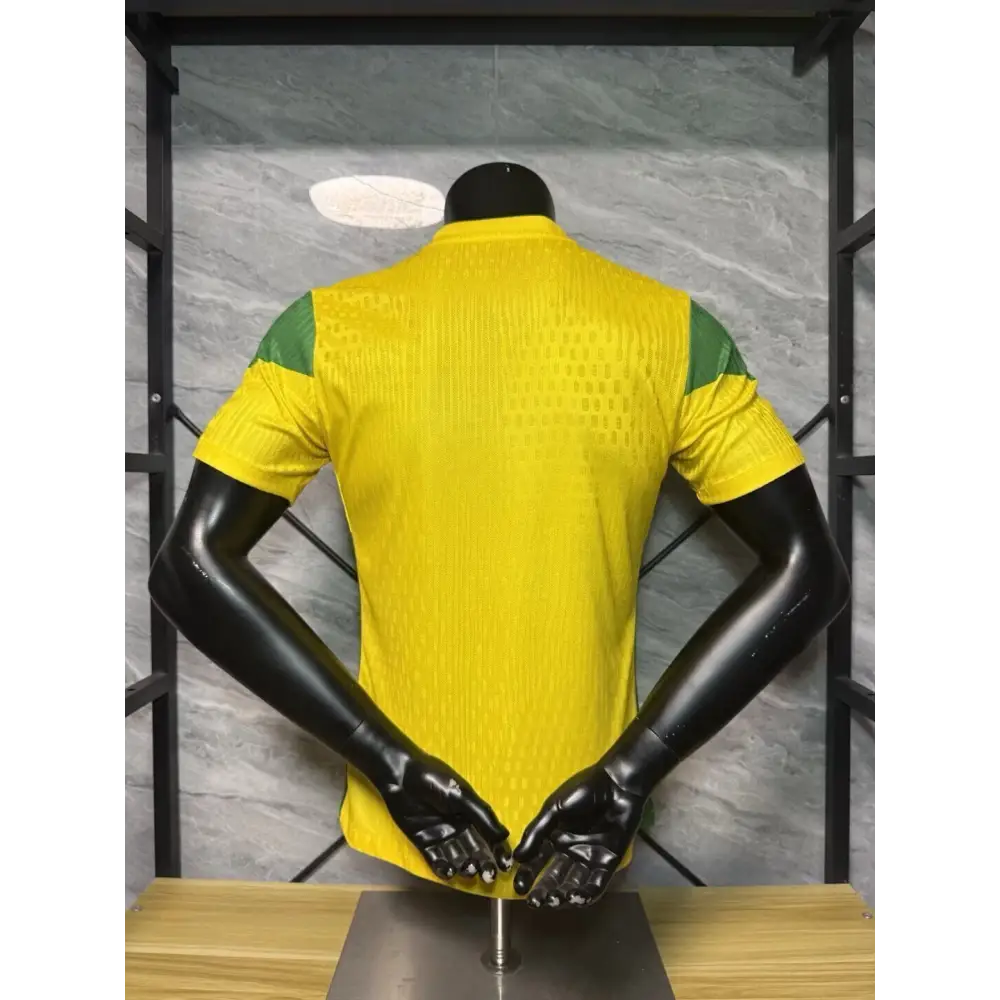 Benin Heimtrikot 2025/2026