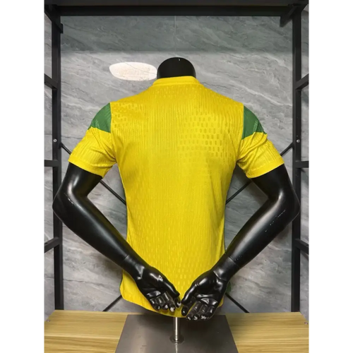 Maillot Bénin domicile 2025/2026 Passe D