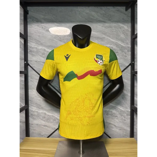 Maillot Bénin domicile 2025/2026 Passe D