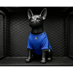 Brazil Away World Cup 2026 Jersey for Dogs