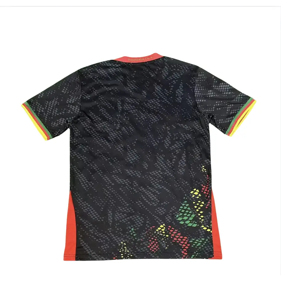 Kamerun Trikot Ausweich CAN 2025
