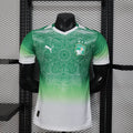 Elfenbeinküste Trikot Grüner Farbverlauf Konzept Spielerversion 2025/2026