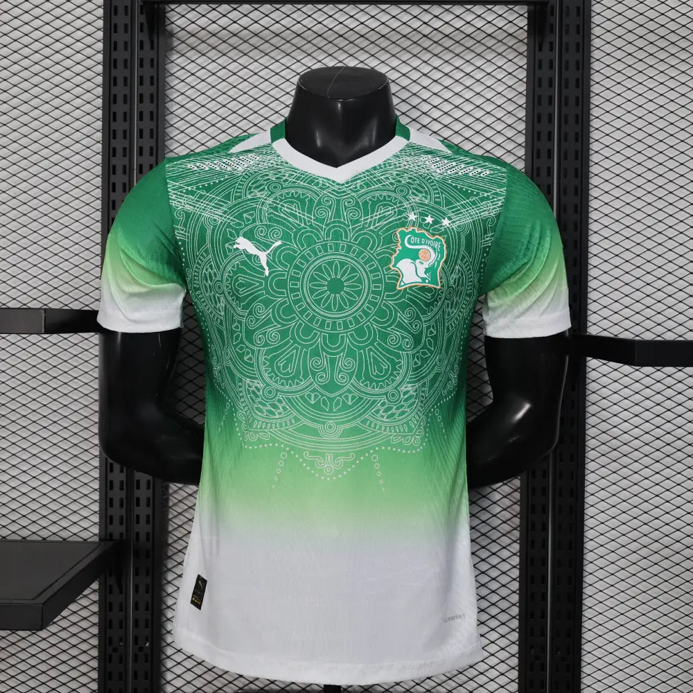 Elfenbeinküste Trikot Grüner Farbverlauf Konzept Spielerversion 2025/2026