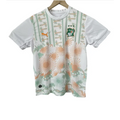 Maillot Cote d'Ivoire Coupe du Monde 2026 Extérieur