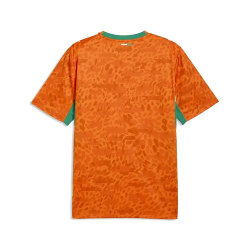 Maillot Cote d'Ivoire Home World Cup 2026 Passe D