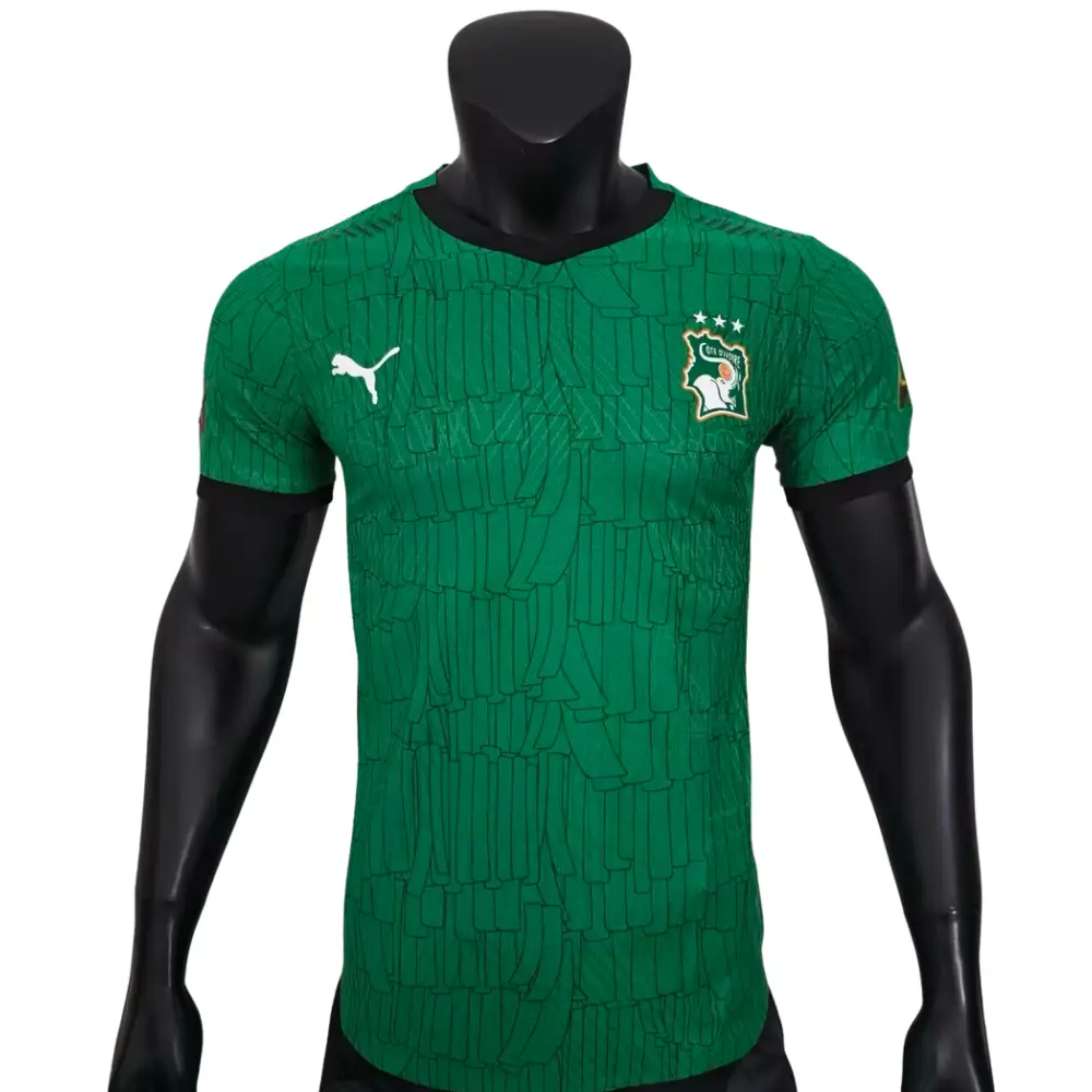 Elfenbeinküste Trikot Grün Spielerversion 2025/2026