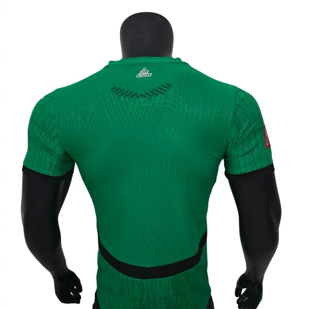 Elfenbeinküste Trikot Grün Spielerversion 2025/2026