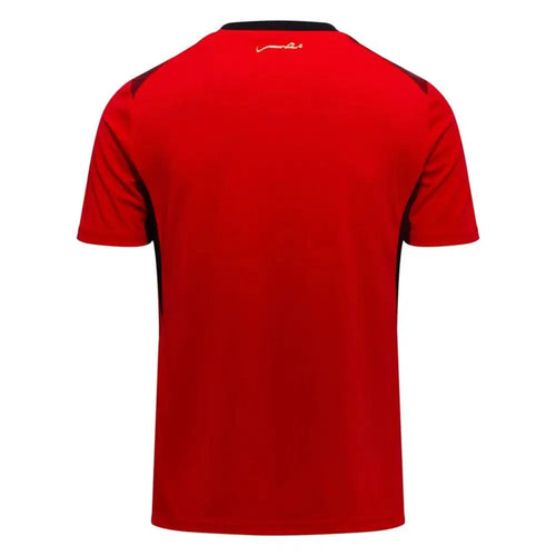 Maillot Egypte Coupe du Monde 2026 Domicile Passe D