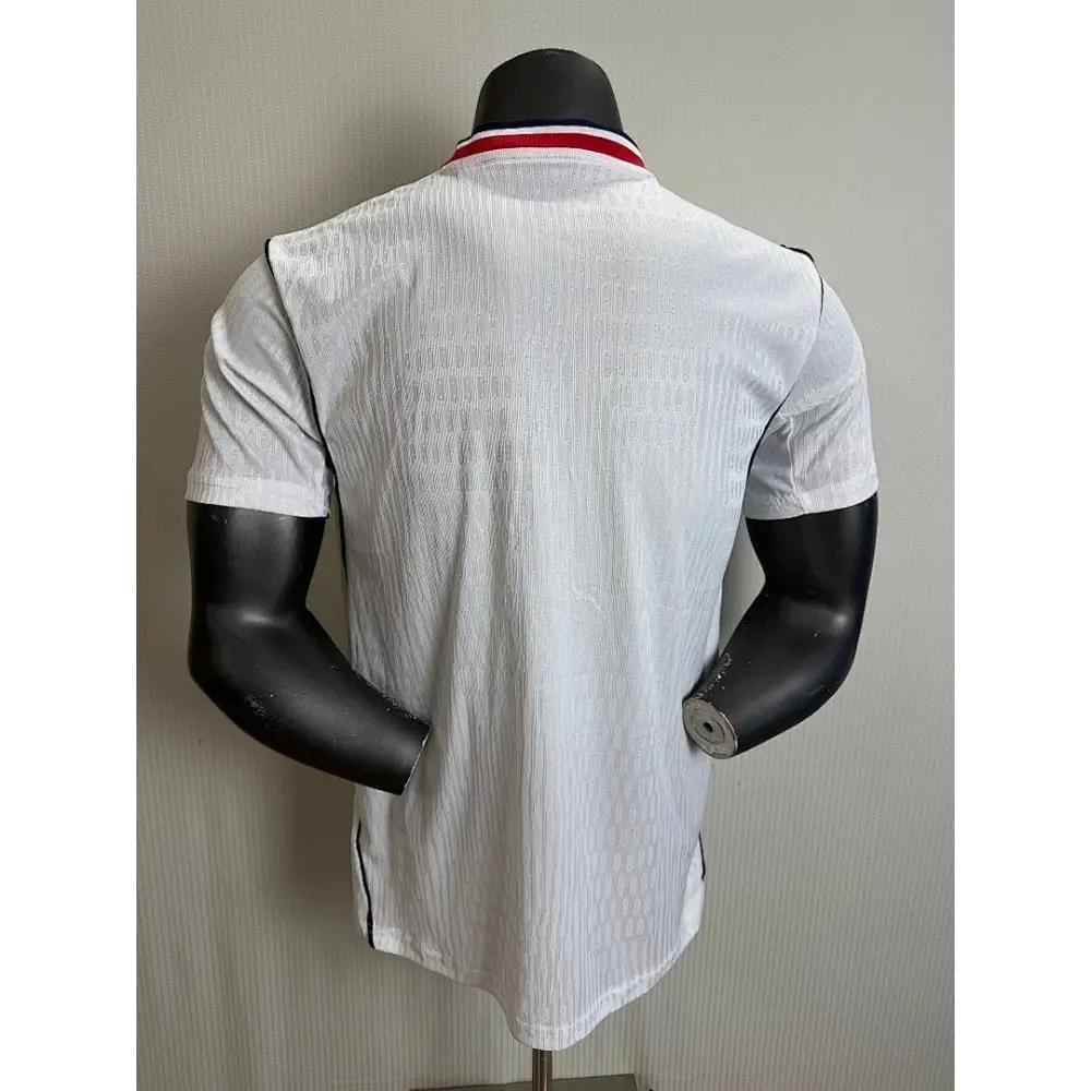 Maillot France Concept jordan version joueur Coupe du Monde 2026