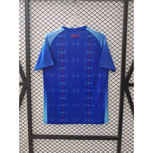 Maillot Haiti Home 2025/2026 Passe D