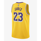 LeBron James Jersey 2024/2025