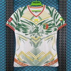 Maillot Mali Concept Vert & Blanc 2025/2026