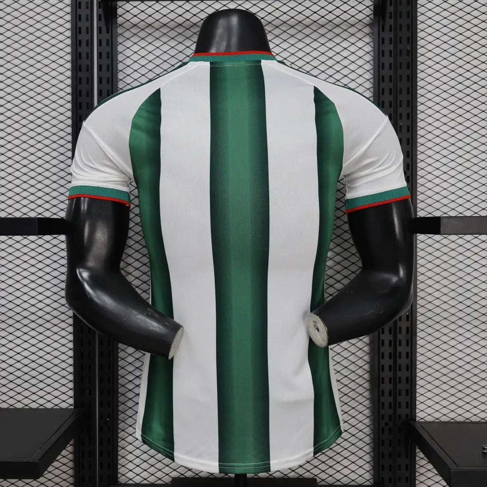 Mexiko Trikot Konzept WM 2026