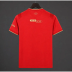 Maillot Middlesbrough Domicile 2026/2027 Passe D