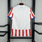 Paraguay 2026 World Cup Home Jersey