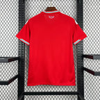 Wales Heimtrikot WM 2026