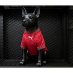 Portugal World Cup 2026 Jersey for Dog