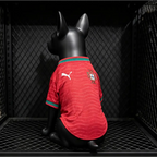 Portugal World Cup 2026 Jersey for Dog