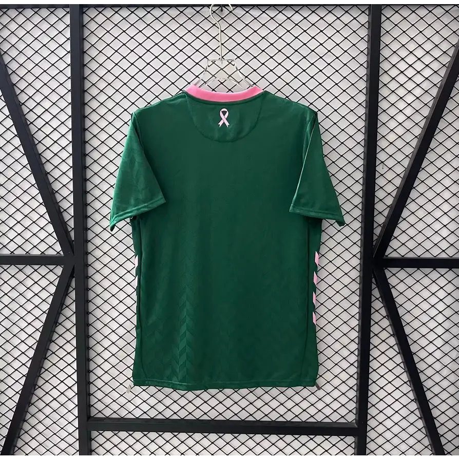 Saint-Etienne Konzepttrikot grün 2025/2026