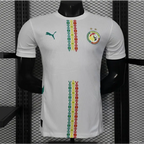 Senegal Heimtrikot 2 Sterne Spielerversion