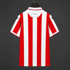Maillot Stoke City Domicile 2026/2027 Passe D
