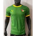 Togo-Trikot Konzept Spielerversion 2025/2026