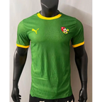 Togo-Trikot Konzept Spielerversion 2025/2026