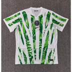 Nigeria Home 2025/2026