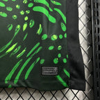 Nigeria Away 2024