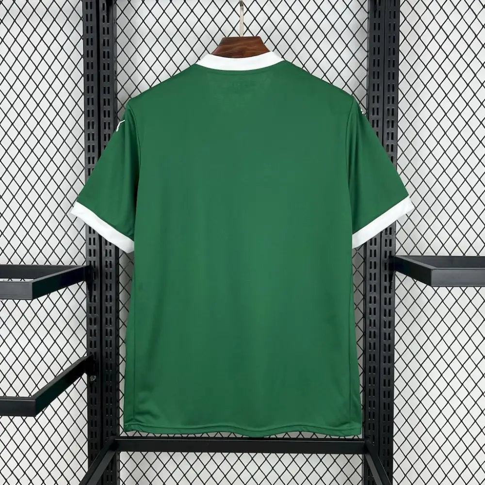 Palmeiras Heim 2025/2026
