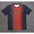PSG 2025/2026 Home Concept