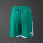 Ireland World Cup 2026 Away Shorts